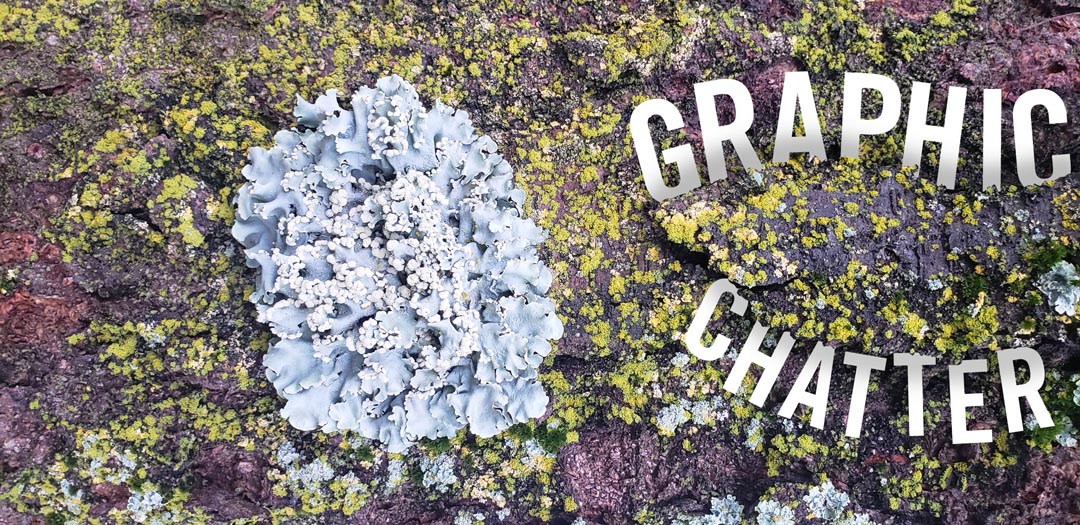 Graphic Chatter June 2026